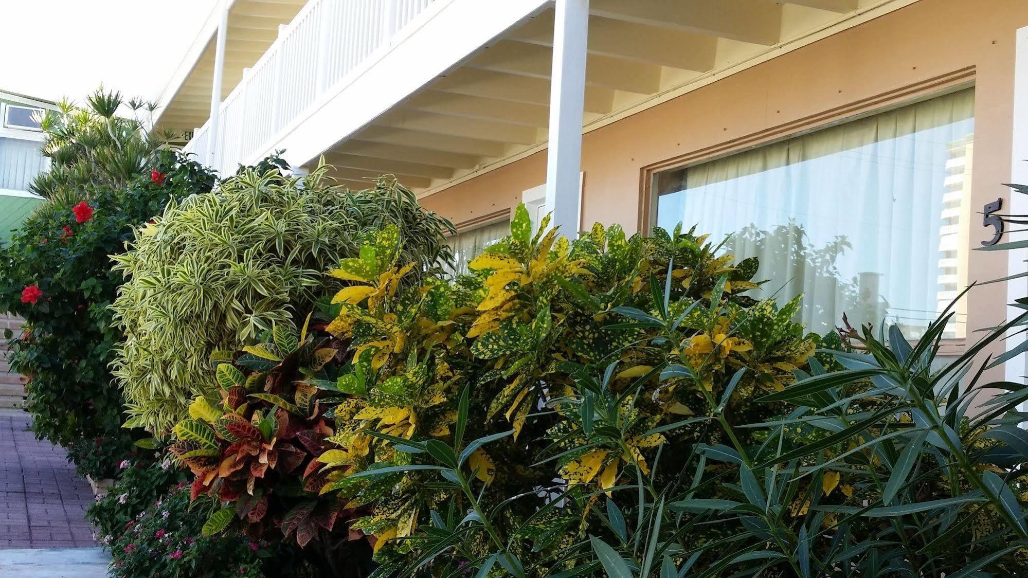 The Palms On Ocean Motell Pompano Beach Exteriör bild